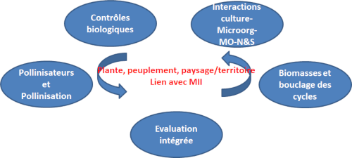 schema des GAS