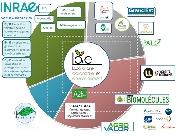 le LAE et son environnement