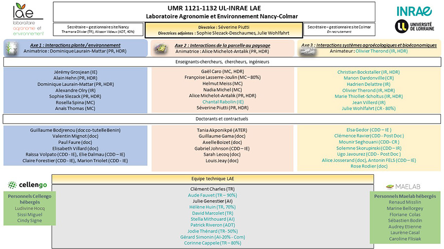 organigramme schématique du laboratoire LAE, avec ses 3 axes de recherche